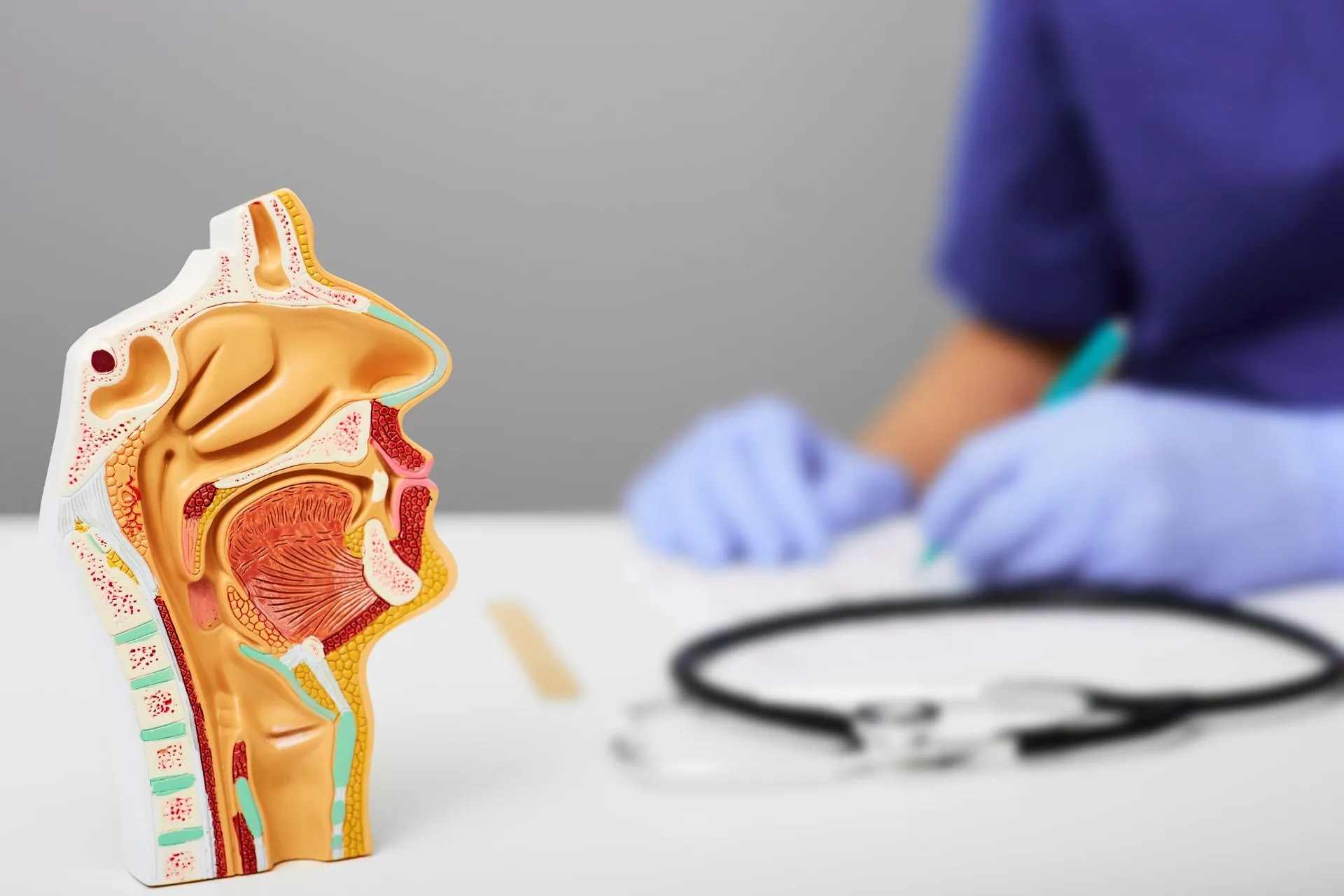 Otorinolarinqologiya